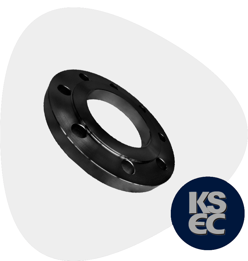 Carbon Steel Raised Face Forged Flanges