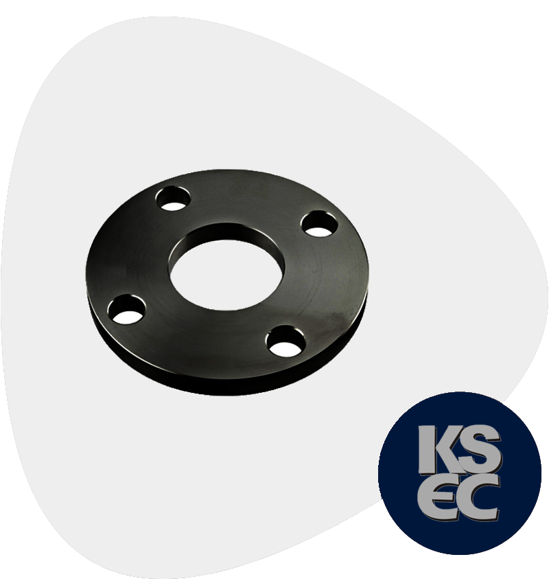 Carbon Steel Raised Face Plate Flanges