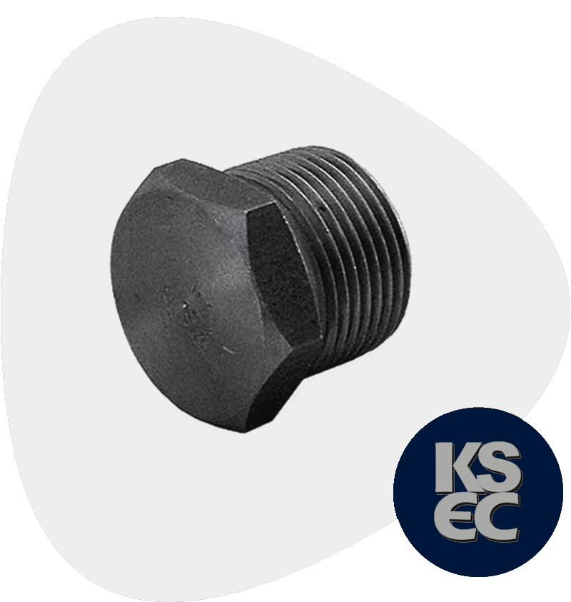 Low Temperature Carbon steel LF2 Forged Plug