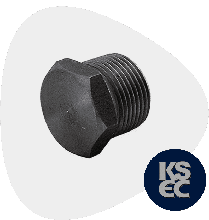 Carbon Steel Forged Plug