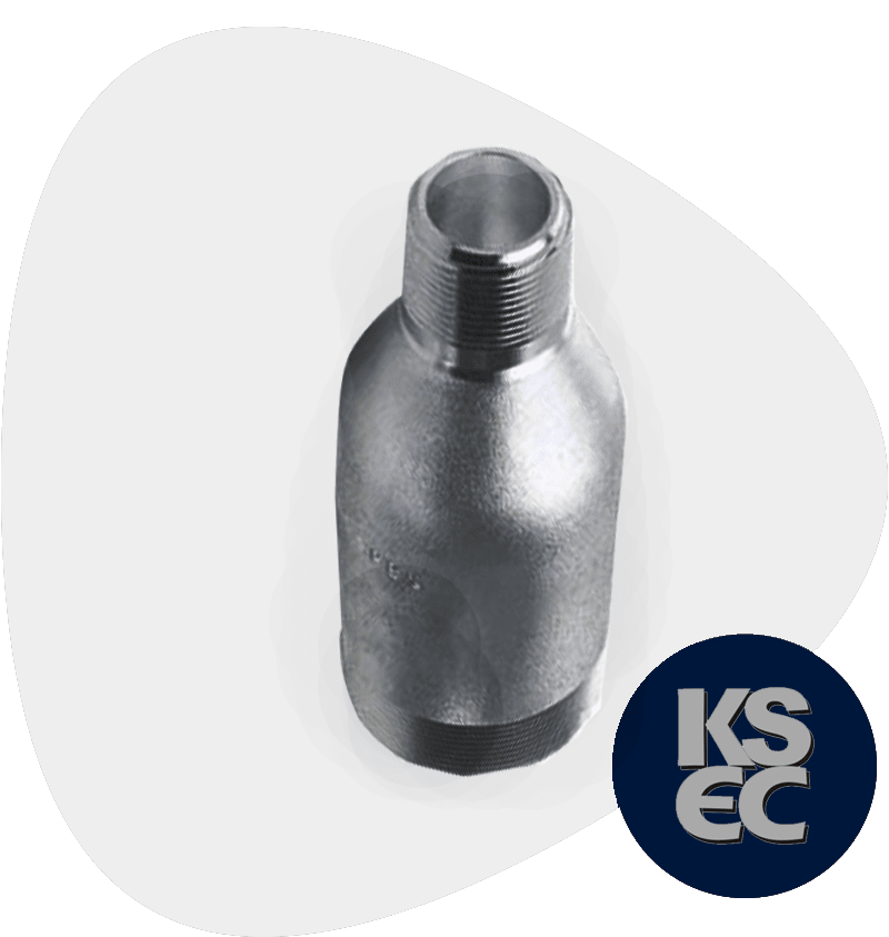 Carbon Steel Socket Weld Swage Nipple