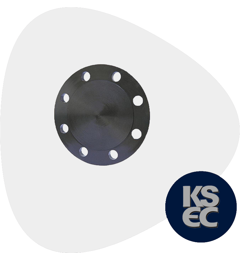 Carbon Steel BLRF Flanges