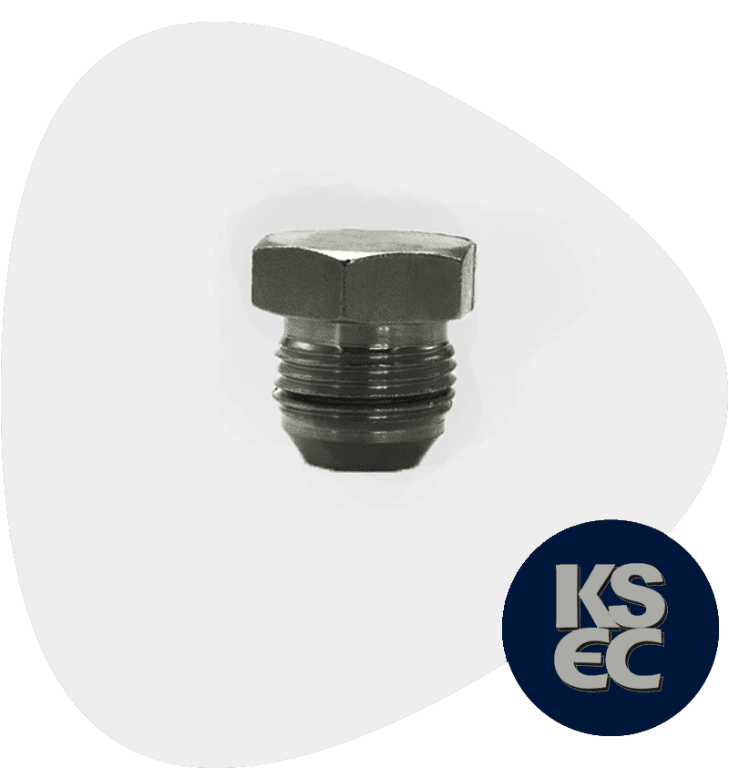 Carbon Steel BSP / NPT Plug