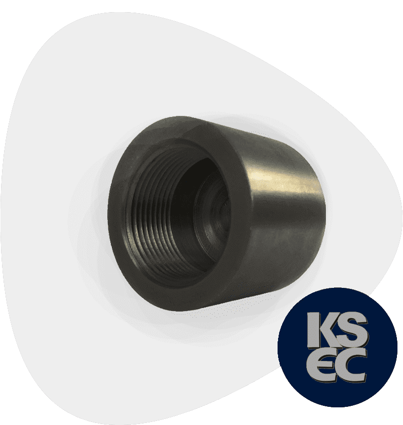 Carbon Steel End Cap