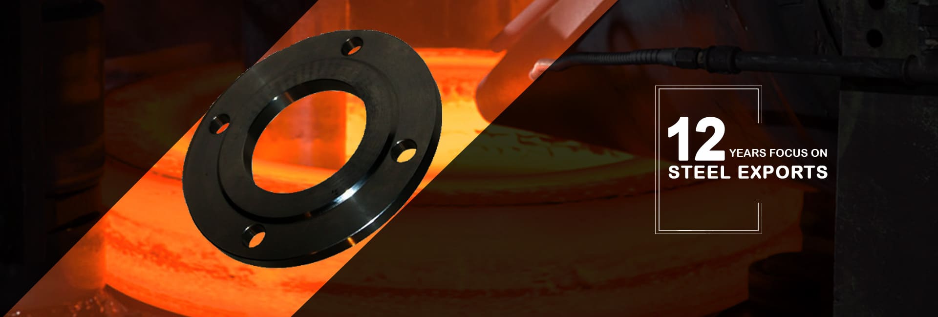 Carbon Steel Forged Flanges