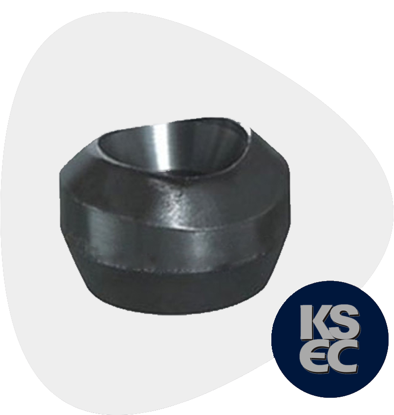 Carbon Steel Forged Socket Weld Branch Outlet