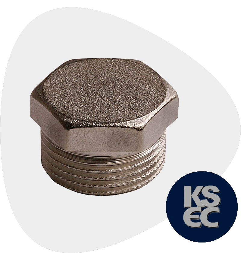 Carbon Steel Forged Threaded Hex Head Plugs