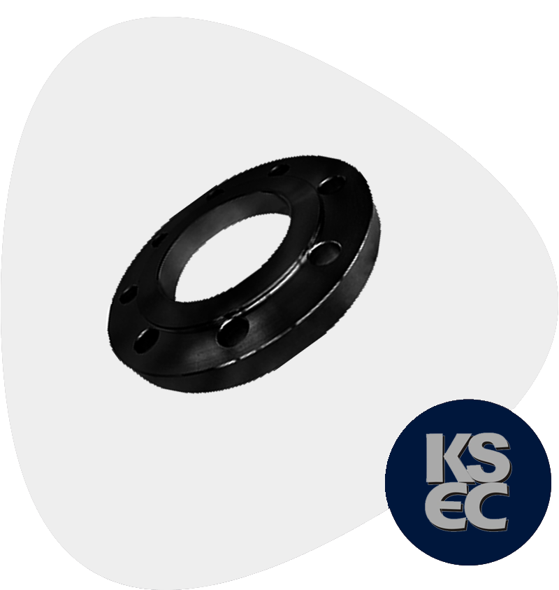 Carbon Steel Raised Face Forged Flanges