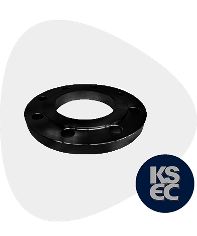 Carbon Steel Raised Face Forged Flanges