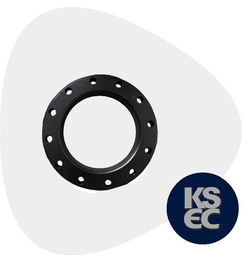 Carbon Steel Raised Face Flanges