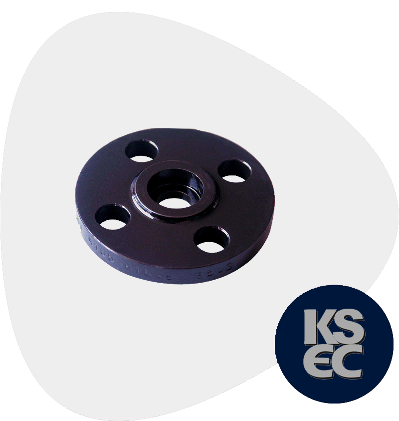 Carbon Steel SWRF Flanges