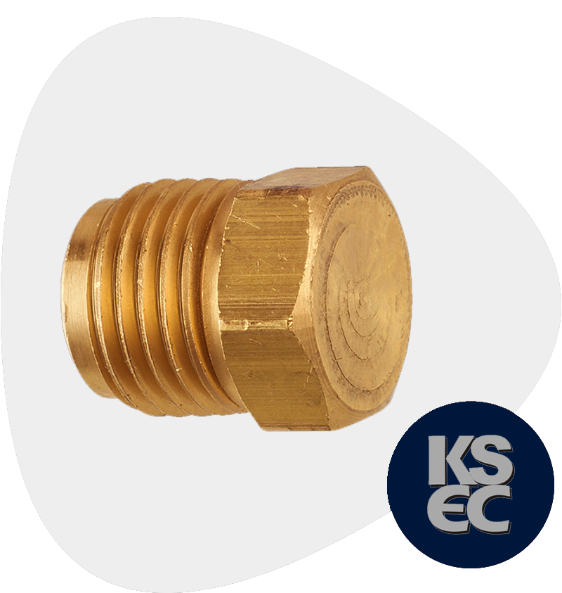 Cupro Nickel Forged Threaded Hex Head Plugs