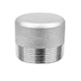 Duplex / Super Duplex Forged Threaded Round Head Plugs
