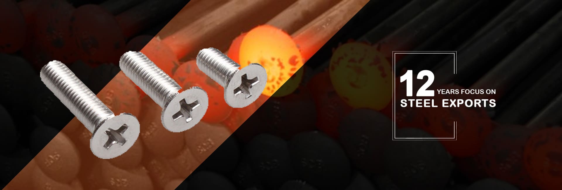 Duplex Steel Screws