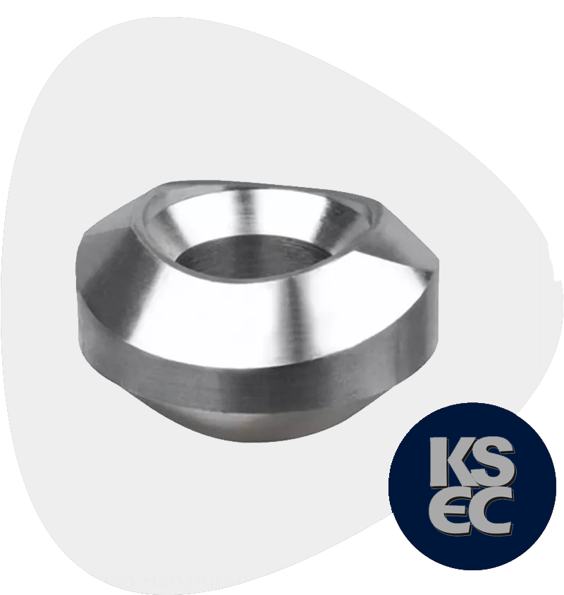 Duplex/Super Duplex Steel Forged Socket Weld Branch Outlet