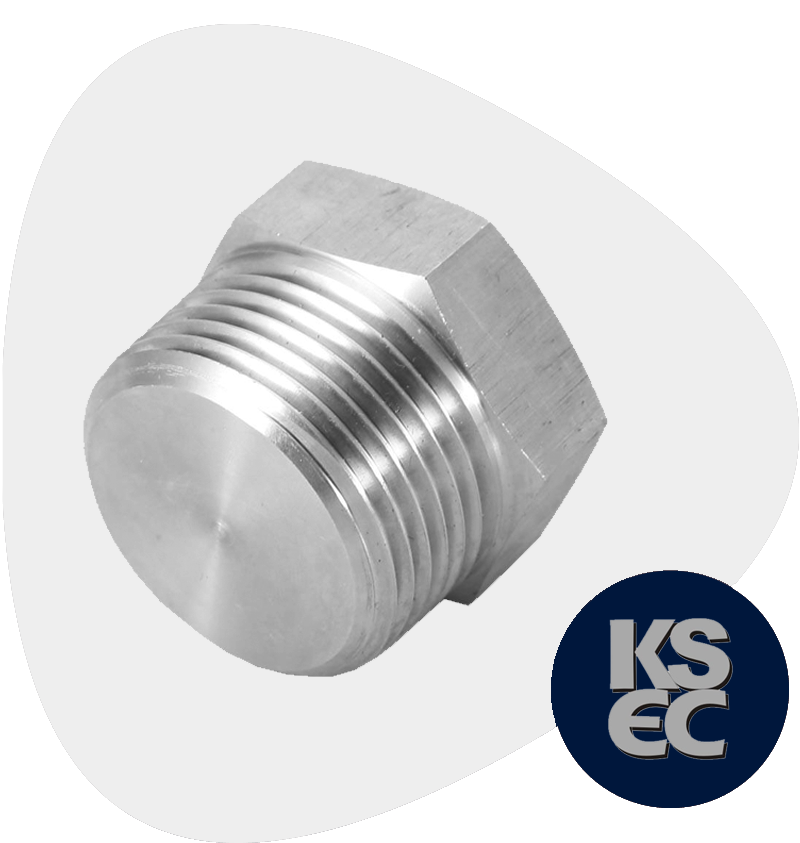 Duplex/Super Duplex Steel Forged Threaded Hex Head Plugs