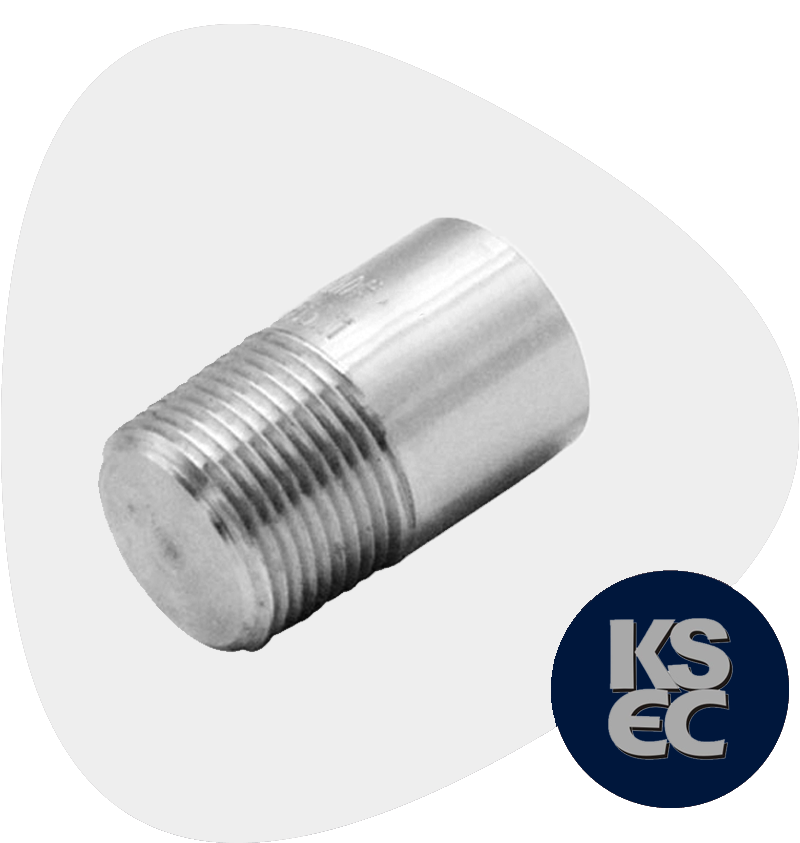 Duplex/Super Duplex Steel Forged Threaded Round Head Plugs