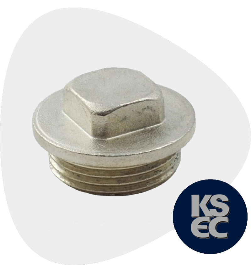 Duplex/Super Duplex Steel Forged Threaded Square Head Plugs
