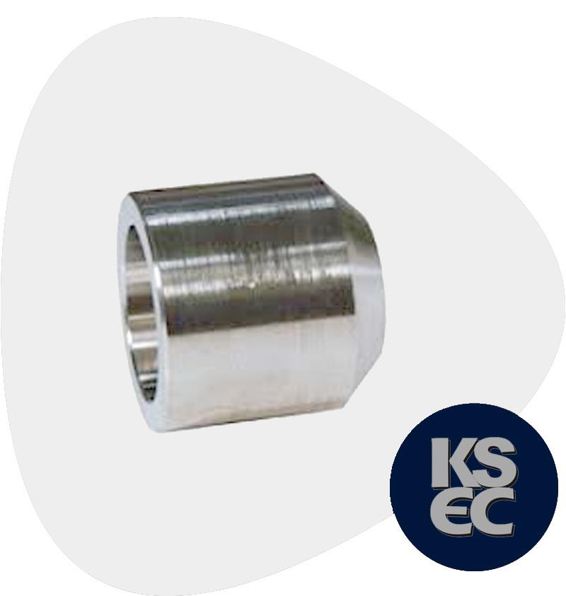 Duplex/Super Duplex Steel Forged Threaded Welding Boss