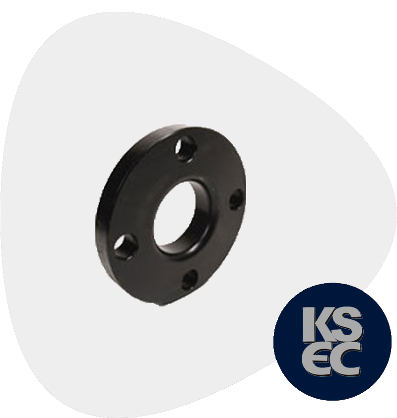 Carbon Steel Raised Face Plate Flanges