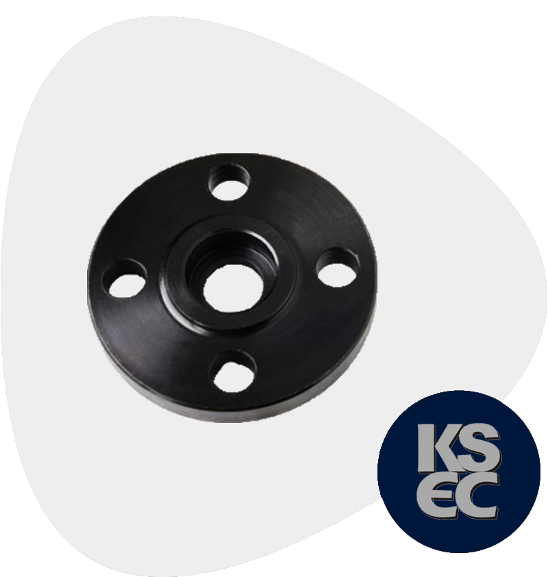 Carbon Steel SWRTJ Flanges