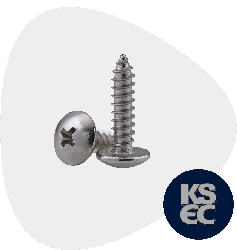 Cr-Mo Pan Head Screws