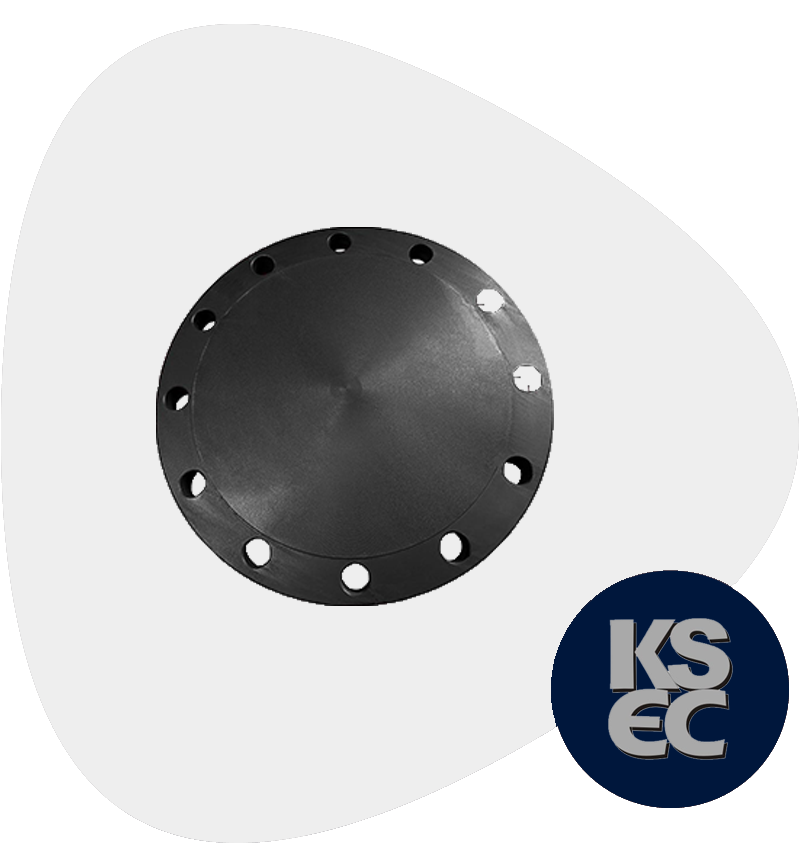 Carbon Steel BLRTJ Flanges