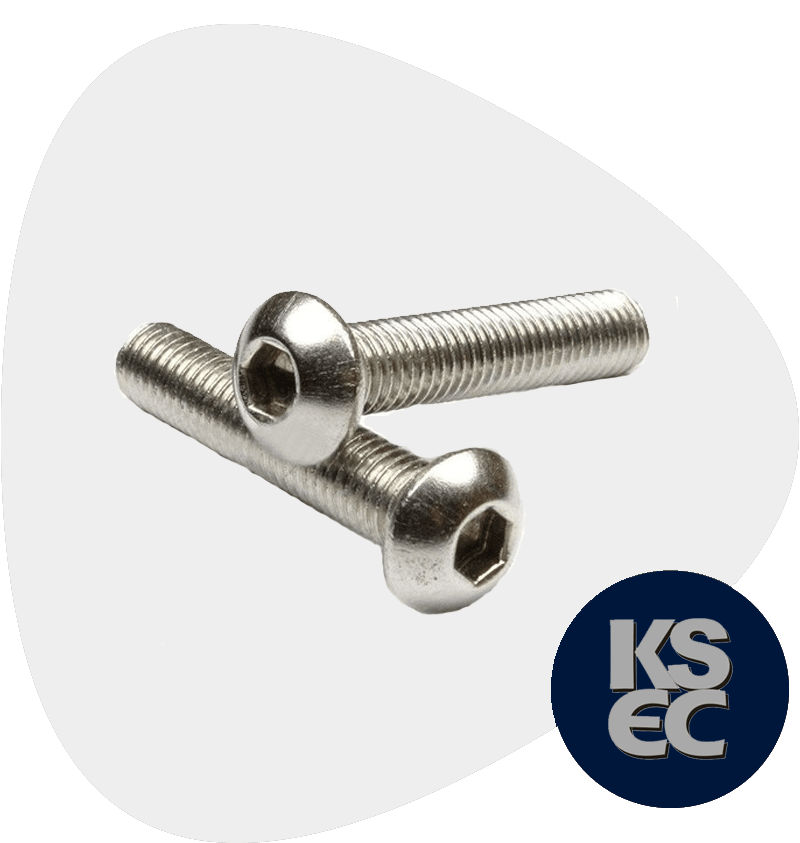 Cr-Mo Socket Hexagon Head Screws