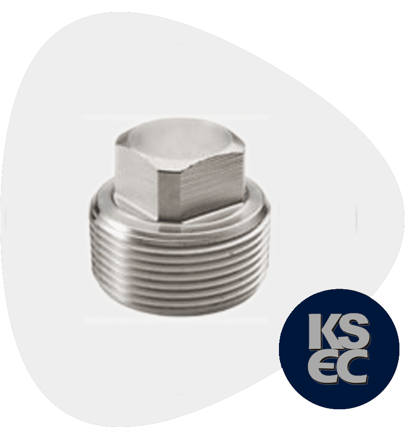 Stainless Steel Forged Plug