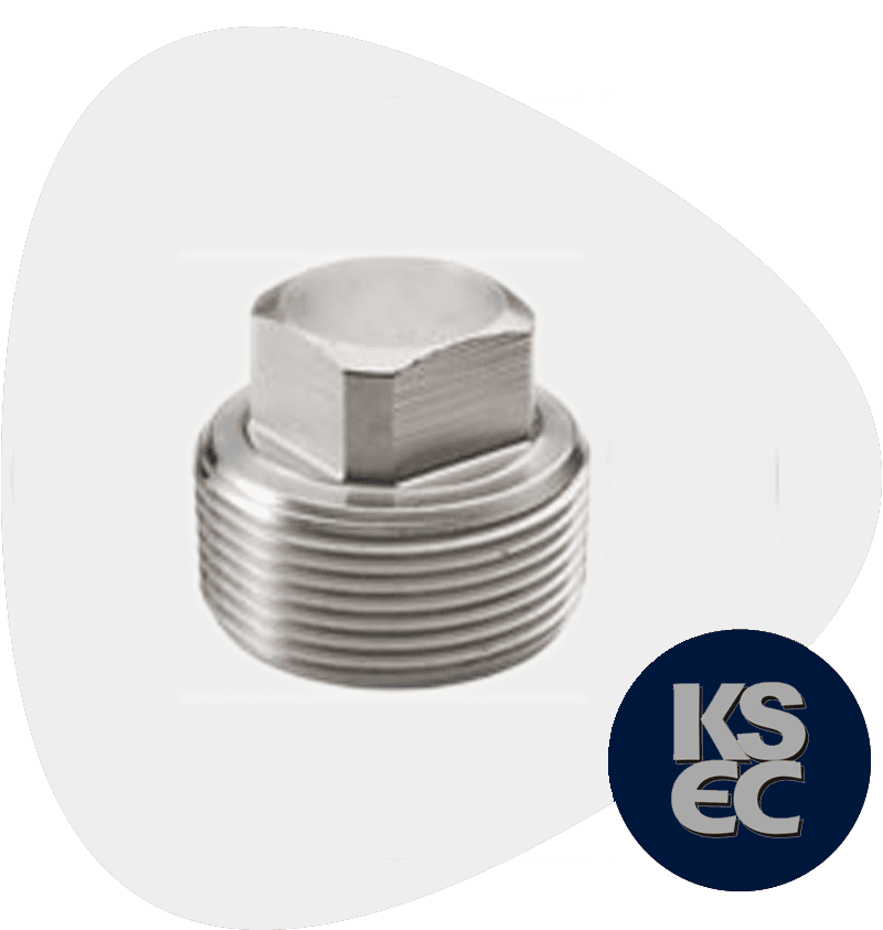 Duplex Steel Forged Plug