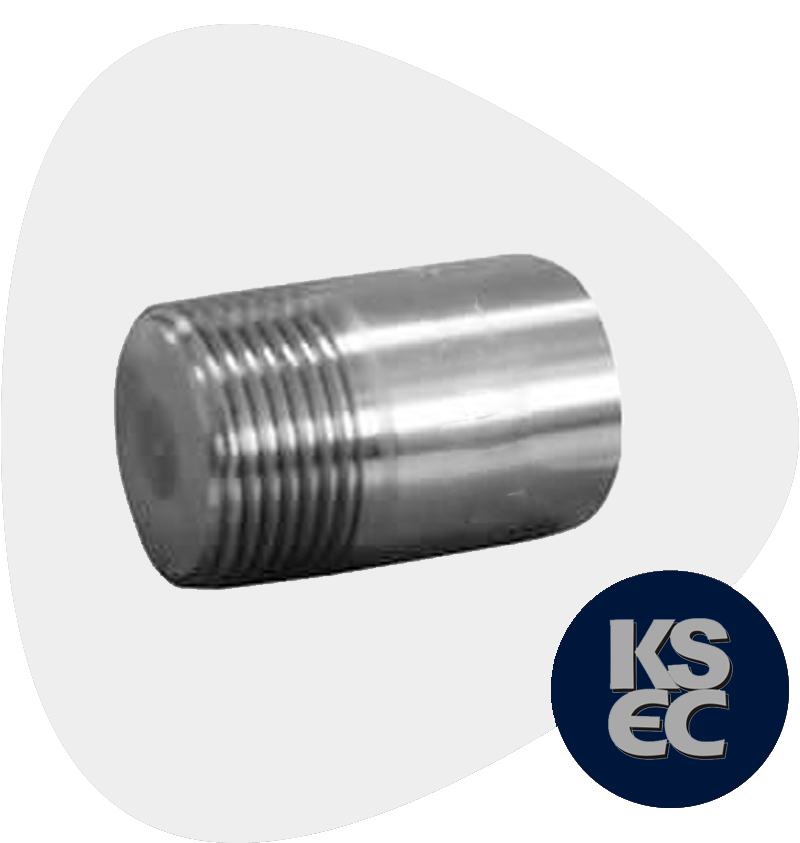 Stainless Steel Forged Threaded Round Head Plug