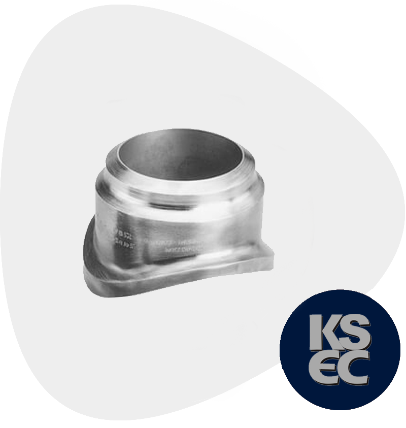 Stainless Steel Insert Weld Outlets