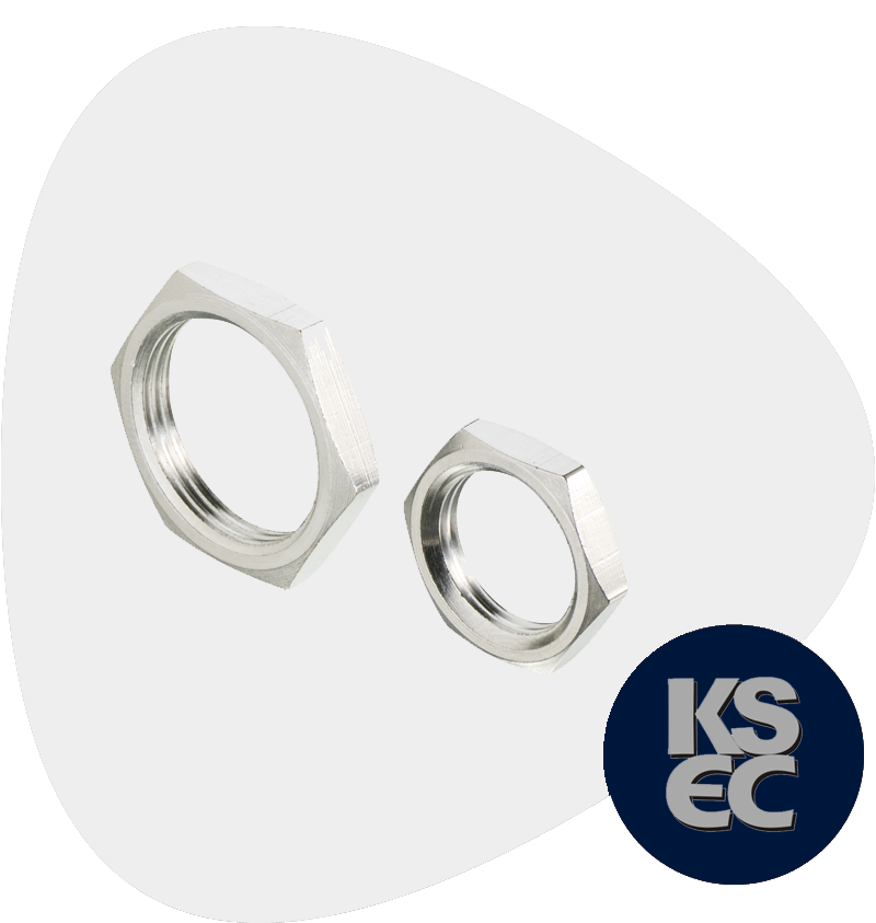 Stainless Steel Nuts Manufacturer and Supplier in Mumbai, India