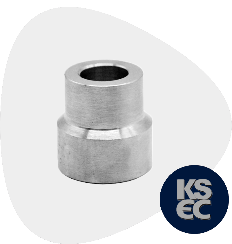 ANSI B16.11 Socket Weld Reducer Insert Manufacturer and Supplier