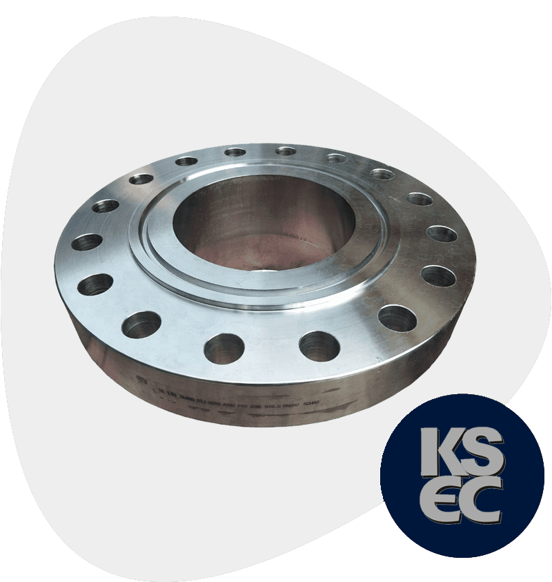 Duplex S32205 Ring Type Joint Flanges