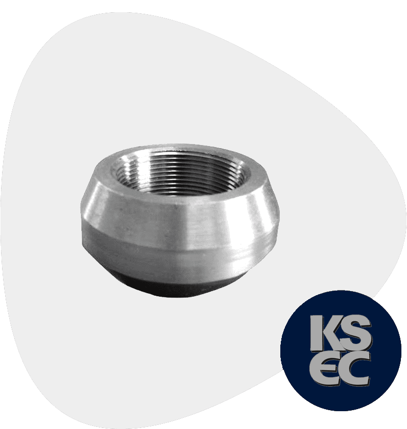 Stainless Steel Threaded Outlets Stainless Steel Threaded Outlets