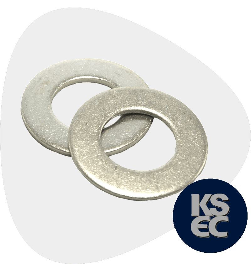 Stainless Steel 446 Washers