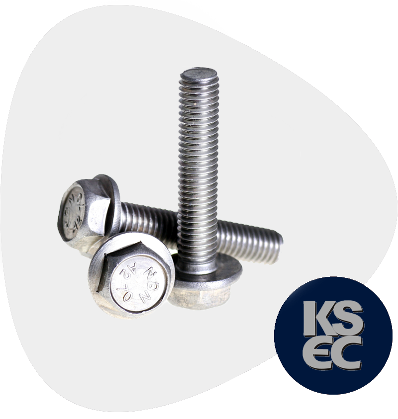 Stainless Steel Bolts