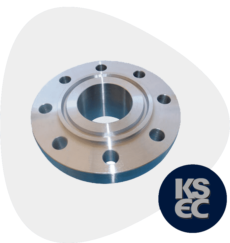 Stainless Steel Forged Flange